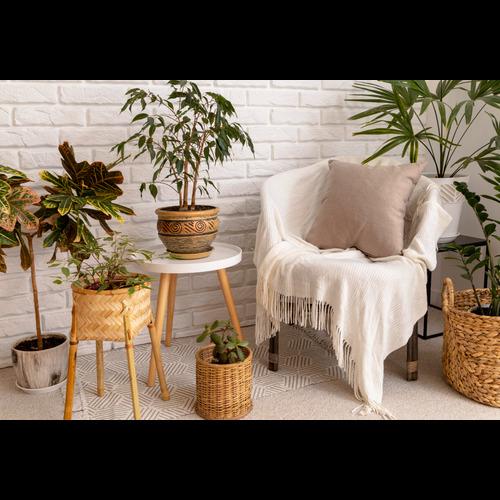 Anker Liberty Pro NC